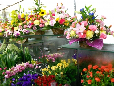 「いせの生花店」　（熊本県熊本市東区）の花屋店舗写真1